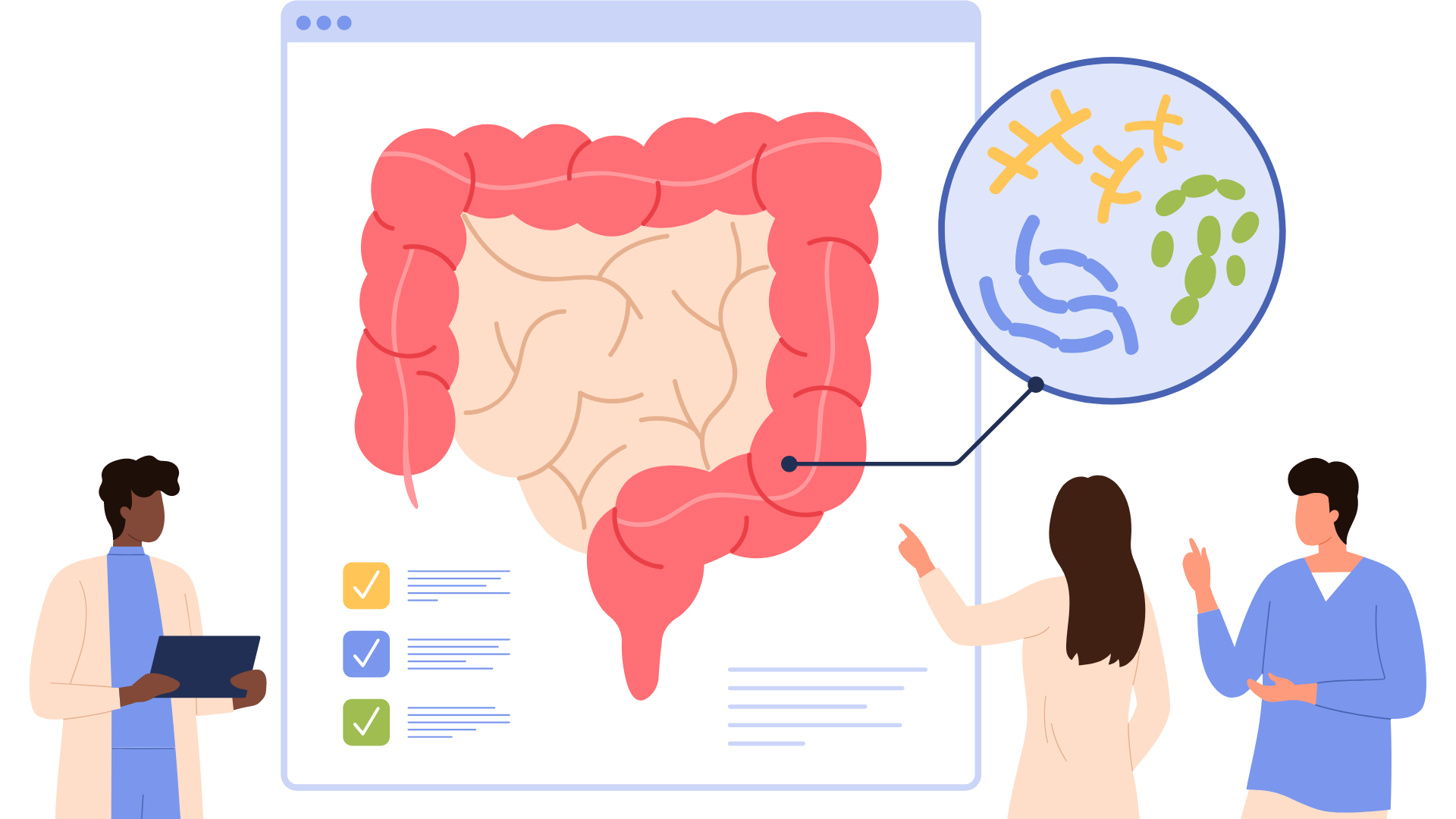 Doctors and Nurses analyzing the Human digestive system